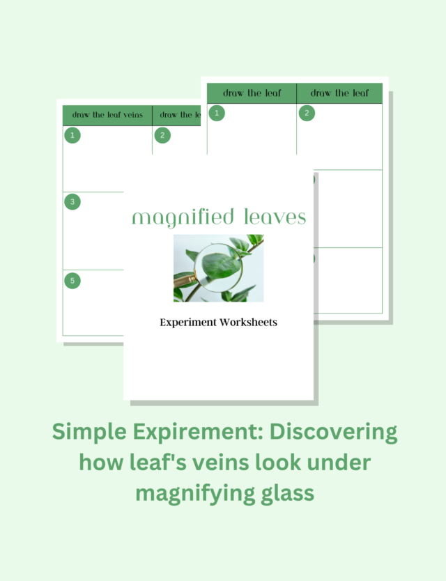 Free magnifying glass experiment worksheets for kids